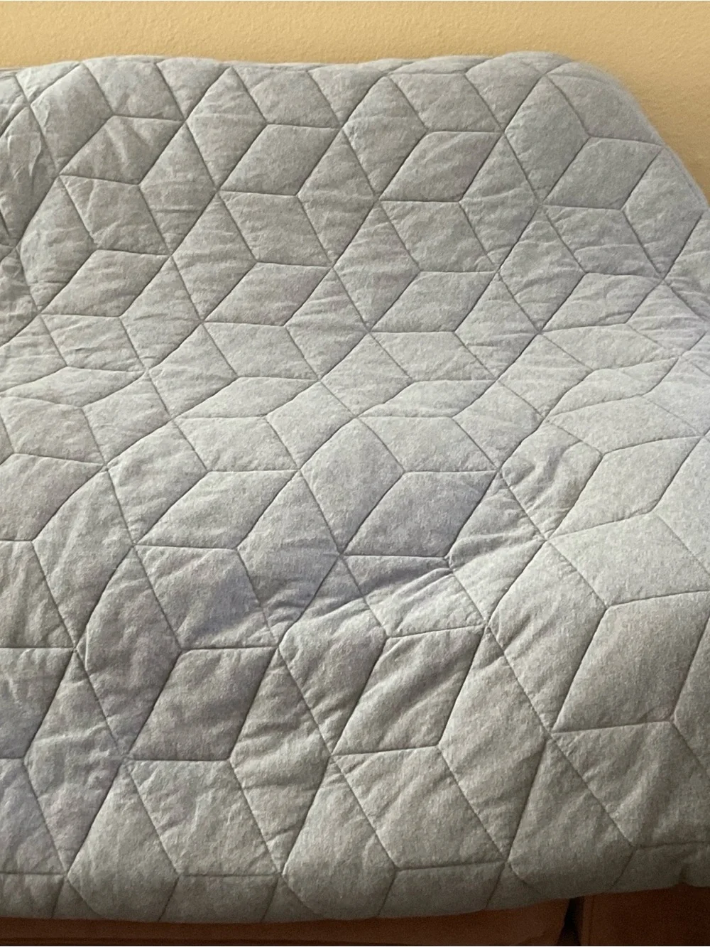 Pottery Barn Kids Gray Jersey Twin Quilt Reversible